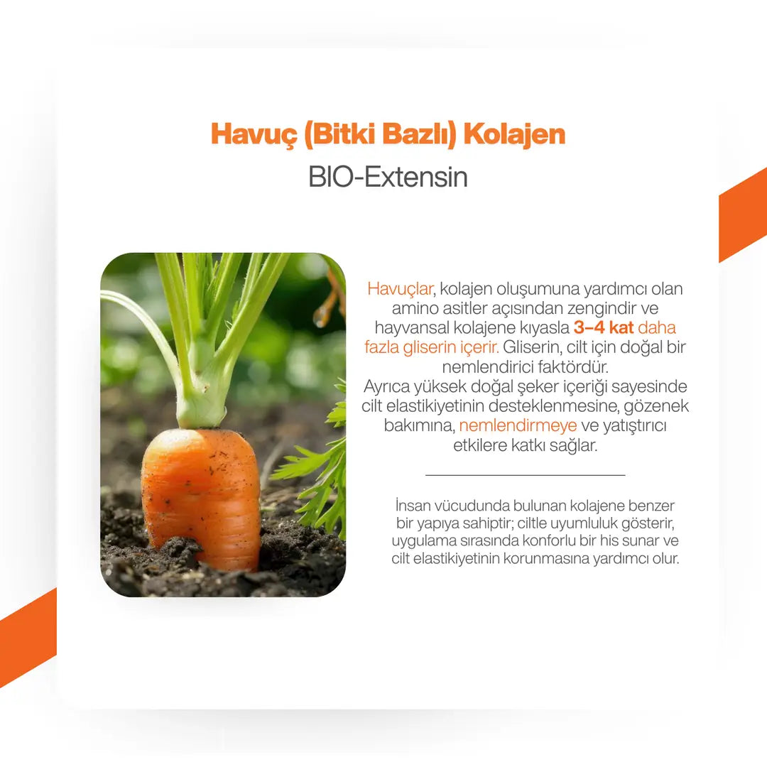 The Cell Lab Gözenek Sıkılaştırıcı Yoğun Nemlendirici Yaşlanma ve Kırışıklık Karşıtı Ampul (Lacto-PDRN) 50ml